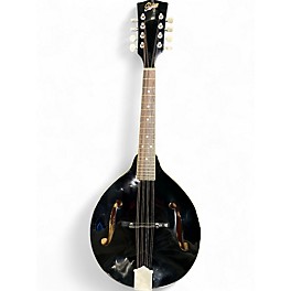 Used Rover RM35BS BLACK Mandolin