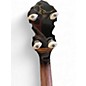 Used Fender Robert Schmidt Signature Plectrum Walnut Stain Banjo
