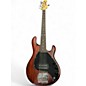 Used Sterling by Music Man SUB 5 Brown Electric Bass Guitar thumbnail