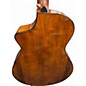 Used Breedlove ORGANIC COLLECTION ARTISTA CONCERT SHADOW BURST Acoustic Electric Guitar