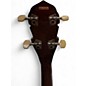 Used Lida PEERLESS  Brown Banjo