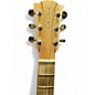 Used 2020 Cole Clark 2020'S FAT LADY FLIEC-BM Natural Acoustic Guitar
