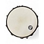 Used TAMA 5.5X14 Sound Lab Project Snare SPOTTED GUM Drum