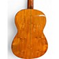 Used Cervantes Guitars Rodriguez PE Natural Classical Acoustic Electric Guitar