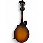 Used The Loar LM590 2 Color Sunburst Mandolin