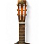Used Regal v-neck resonator  Sunburst Resonator Guitar