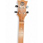 Used Woodrow Guitars Handmade Dulcimer Natural Dulcimer