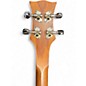 Used Woodrow Guitars Handmade Dulcimer Natural Dulcimer