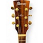 Used Ibanez AW100 Natural Acoustic Guitar
