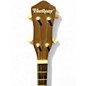Used Harmony Open Back Banjo Natural Banjo