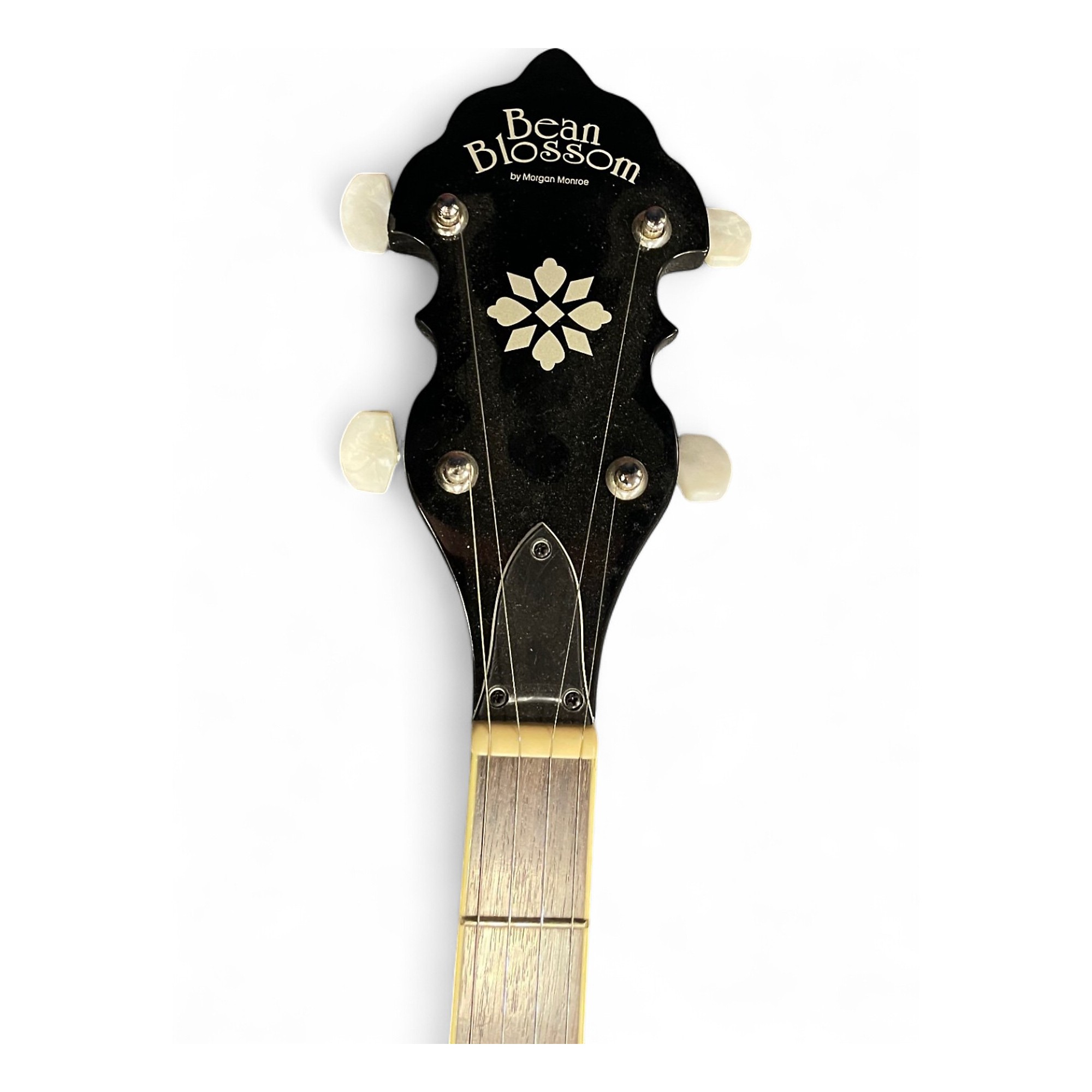 フラットマンドリンBeanBlossom By Morgan Monroe Used Morgan Monroe BEAN BLOSSOM BANJO NATURAL Banjo NATURAL