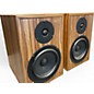 Used Aps KLASIK Pair Powered Monitor