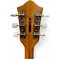 Used Teisco Del Rey EP90T Walnut Hollow Body Electric Guitar