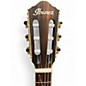Used Ibanez tod10 Black Classical Acoustic Electric Guitar