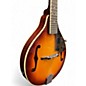 Used Washburn M1S 3 Color Sunburst Mandolin