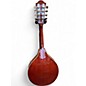 Used Washburn M1S 3 Color Sunburst Mandolin