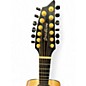 Used Breedlove OREGON AUDITORIUM NATURAL 12 String Acoustic Guitar