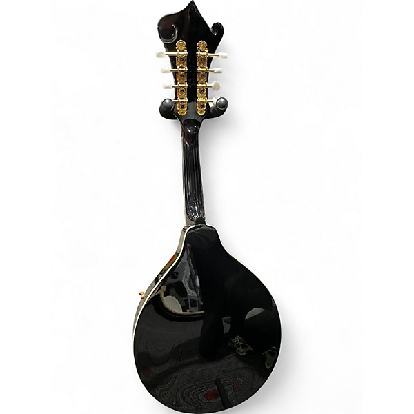 Used Washburn M1SDL Black Mandolin