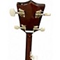 Used Rover banjo Black Banjo