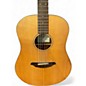 Used Breedlove PASSPORT D20 FS Natural Acoustic Guitar thumbnail