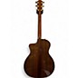 Used Taylor 214CE PLUS LTD 50TH ANNIVERSARY Natural Acoustic Guitar