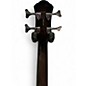 Used Michael Kelly Dragonfly Brown Acoustic Bass Guitar