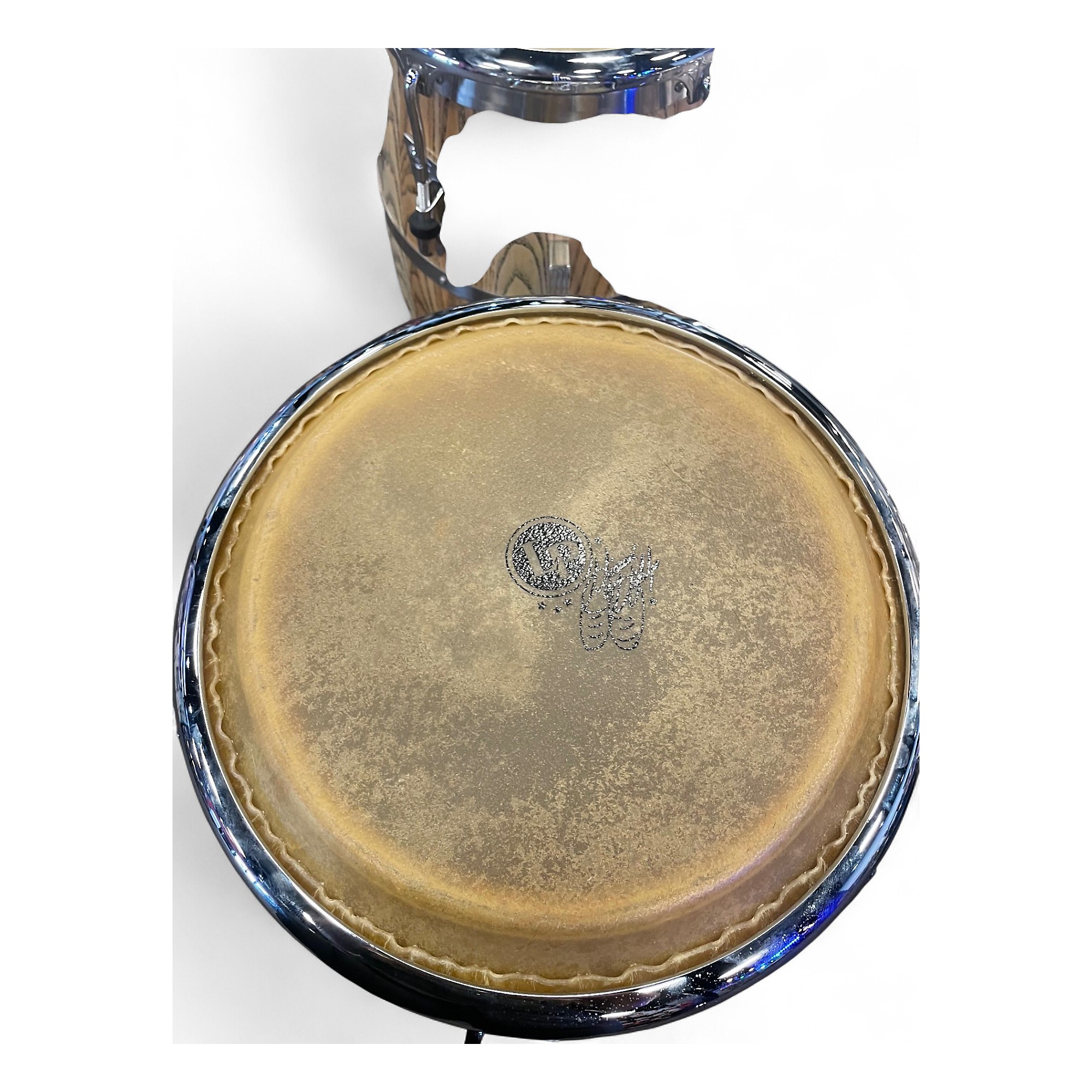 Used LP Giovanni Tumba Palladium Wood LP862Z Conga | Guitar Center