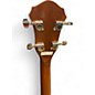 Used Rover RB25 Natural Banjo