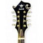 Used Danville MA 009 Honey Burst Ukulele