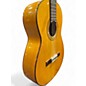 Used Marlon Navarro Flamenco Blanca Antique Natural Flamenco Guitar
