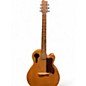 Used Tacoma chief Maple Acoustic Guitar thumbnail