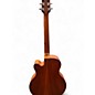 Used Tacoma chief Maple Acoustic Guitar
