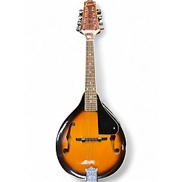 Used Johnson A-100 2 Color Sunburst Mandolin