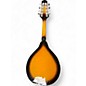 Used Johnson A-100 2 Color Sunburst Mandolin