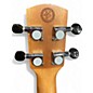 Used Alvarez GDU26C FILMORE GRATEFUL DEAD Ukulele