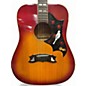 Used Canda 303 Dove Cherry Sunburst Acoustic Guitar