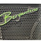 Used Bergantino NXT210 Bass Cabinet