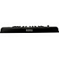 Used KORG MicroKey 25 USB MIDI Controller