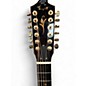 Used Taylor K66CE KOA 12 String Acoustic Electric Guitar