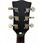 Used Gold Tone CC-BANJITAR Walnut Banjo