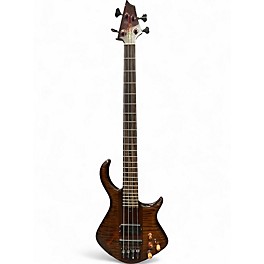 Used Warrior Dran Michael Custom Tiger Eye Electric Bass Guitar