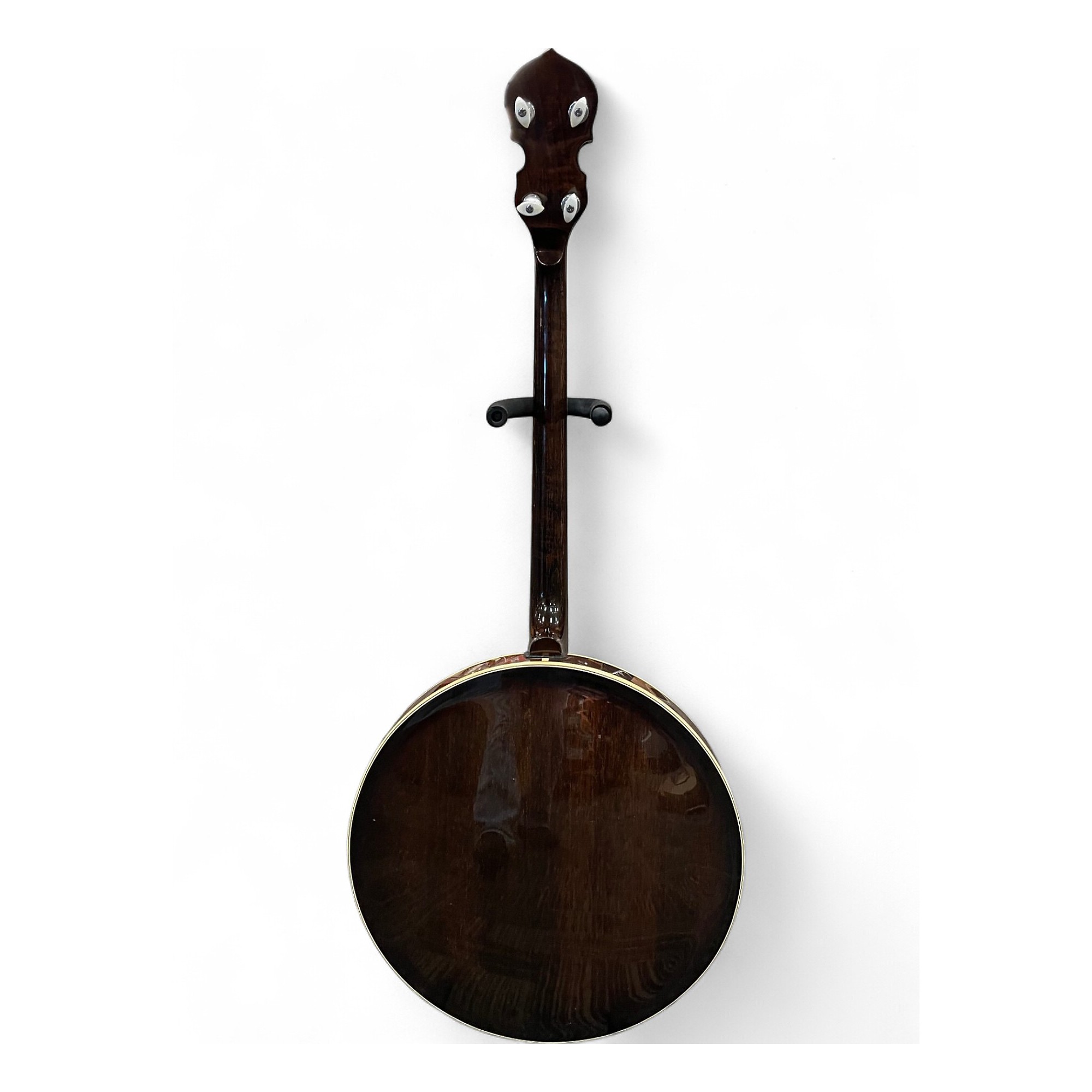 TS-250: Tenor Special Banjo with Case | Gold Tone Music Group