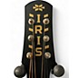 Used Iris Guitar Company DE-11 Sunburst Acoustic Guitar