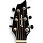 Used Breedlove WILDWOOD CN SUEDE CE Brown Sunburst Acoustic Electric Guitar