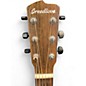Used Breedlove Wildwood concertina  Brown Acoustic Guitar