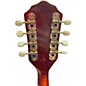 Used Kay Mandolin 2 Tone Sunburst Mandolin