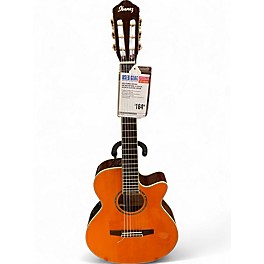 Used Ibanez AEG10NE Antique Natural Classical Acoustic Electric Guitar