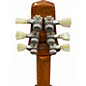 Used Nicholas Guitars Venom Aged Bourbon Burst Solid Body Electric Guitar
