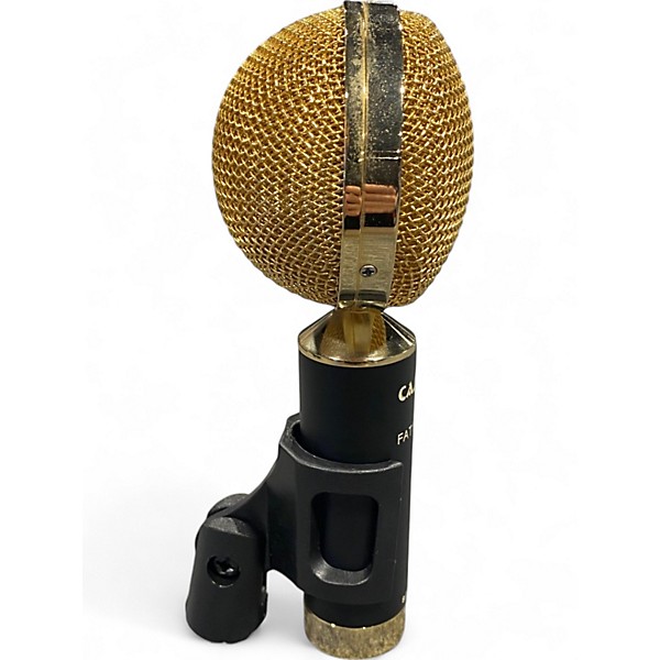 Used Cascade Fat Head II Ribbon Microphone