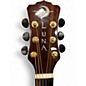 Used Luna VISTA DEER TROPICAL  SUNSET VISTA  Acoustic Electric Guitar